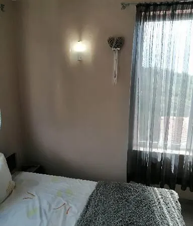 Lucky Rocks 발치크