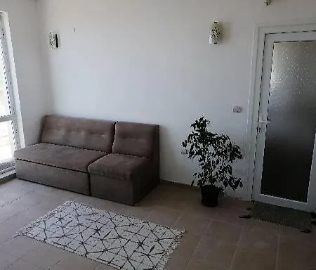 Lucky Rocks 발치크